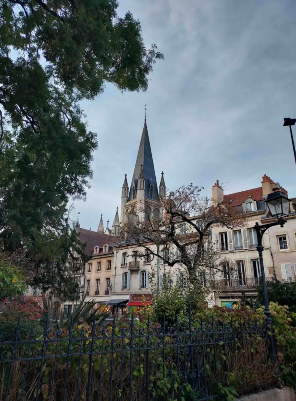 Le Charme Dubois Apartment Dijon Ngoại thất bức ảnh